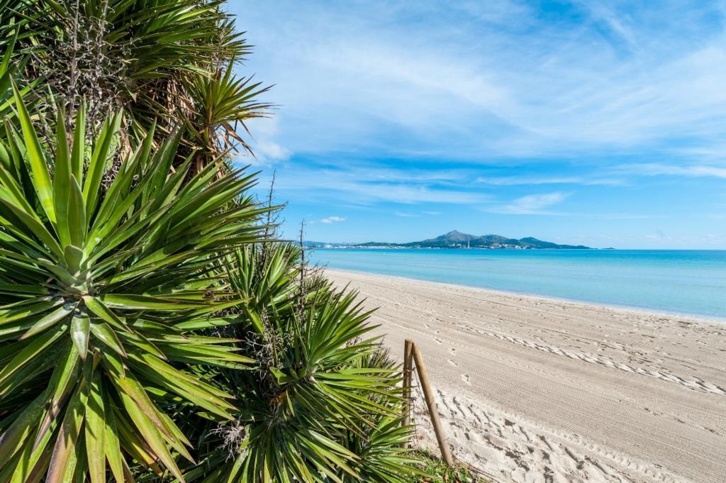 Bella Alcúdia Quarto foto